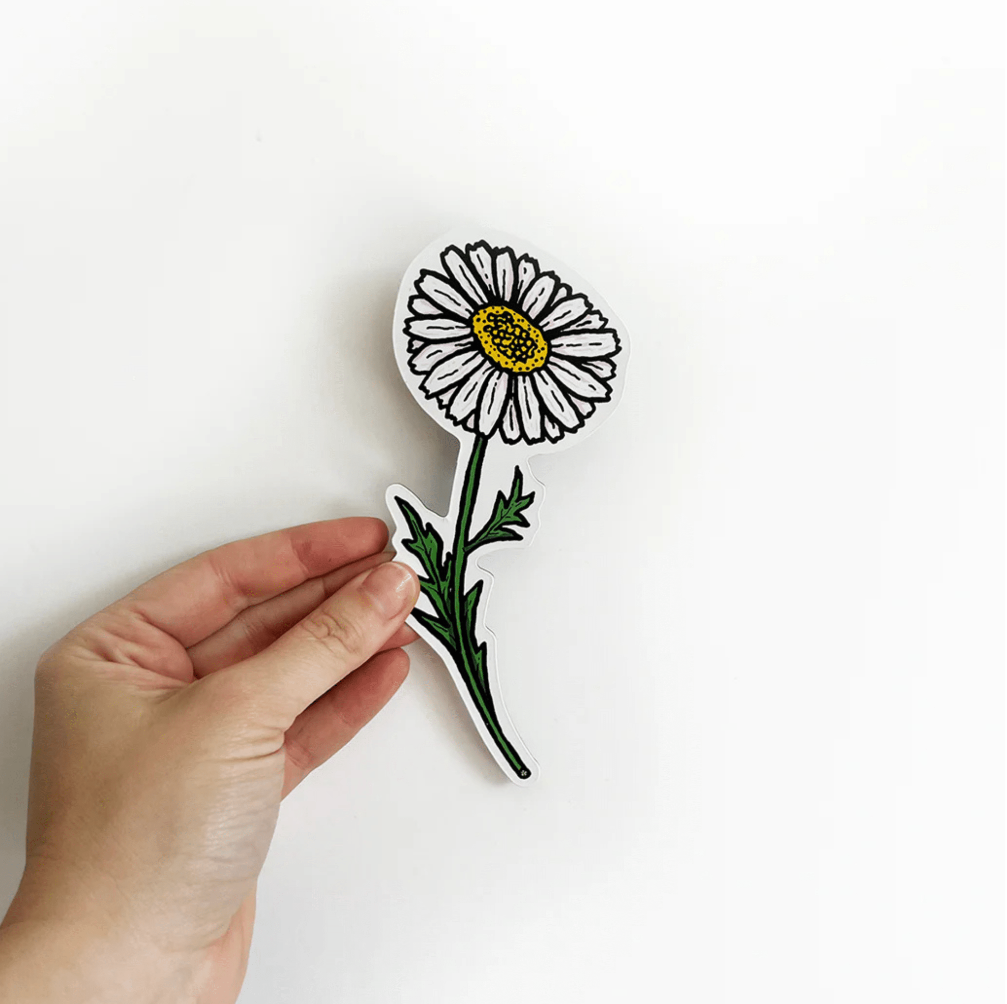 Fridge Flower Magnets (Set of 4) - Billie Justice Thomson - Gifted